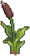 WILD Reeds 09