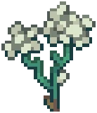VILLAGE Hemlock 02