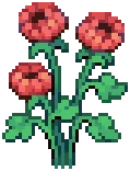 CROP Dahlia3Harvestable Red
