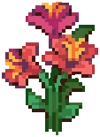 CROP Hibiscus4Harvestable