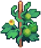 CROP EA1 Tomato2Grow