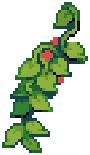 ORN Vines Climbers 01