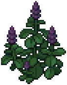 WEED Antiwisteria Big