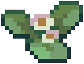 WEED Weed 05