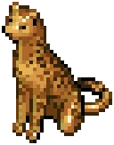 Sabrina's Leopard