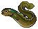 Eel