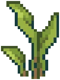 WILD Reeds 01