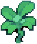 CROP EA1 Broccoli2Grow