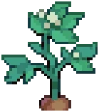 CROP EA1 Potato PVP3Grow — PvP variant