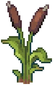 WILD Reeds 10