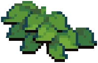 ORN IVY Green 05