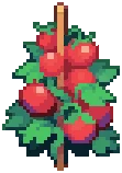 CROP EA1 Tomato PVP4Harvestable — PvP variant