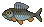 Grayling