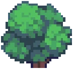 WILD Bush 02