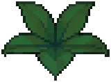 WEED Starleaf Big