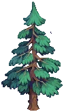 TREE Pine Grow04