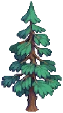 VILLAGE Pine Grow03