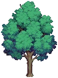 VILLAGE Ash Grow03