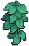ORN IVY Blue 03