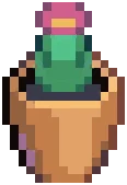 ORN Pot Cactus
