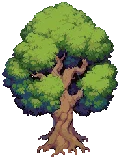 VILLAGE Oak Grow04 A