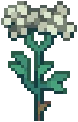 WEED Hemlock 03
