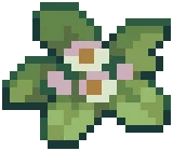 VILLAGE Weed 01