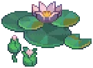 WILD Lilypad 02 PBWORLD