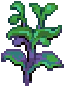 CROP Nightshade2Grow