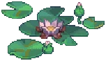 WILD Lilypad 01 PBWORLD
