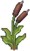 WILD Reeds 11