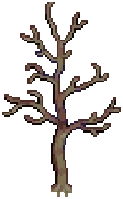 TREE Oak Grow 02 Winter