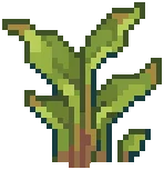 WILD Reeds 02 PBWORLD