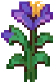 CROP Hibiscus2Grow Violet
