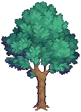 VILLAGE Fur Grow04 C