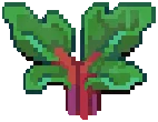 CROP EA1 Rhubarb3Grow
