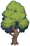 VILLAGE Oak Grow03 A