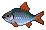 Roach