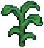 CROP Corn PVP1Grow — PvP variant