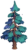 TREE Pine B Grow04