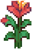 CROP Hibiscus3Grow