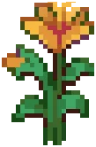 CROP Hibiscus3Grow Yellow