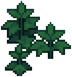 VILLAGE Nettles Grow 02