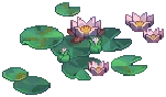 WILD Lilypad 03