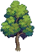 TREE Oak Grow 02