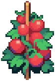 CROP EA1 Tomato4Harvestable