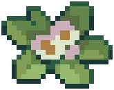 WEED Weed 06