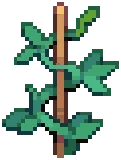 CROP EA1 Green Bean PVP2Grow — PvP variant