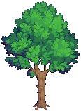 VILLAGE Fur Grow04 B