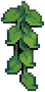 ORN Ivy Green 04